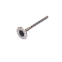 View Engine Exhaust Valve Full-Sized Product Image 1 of 1